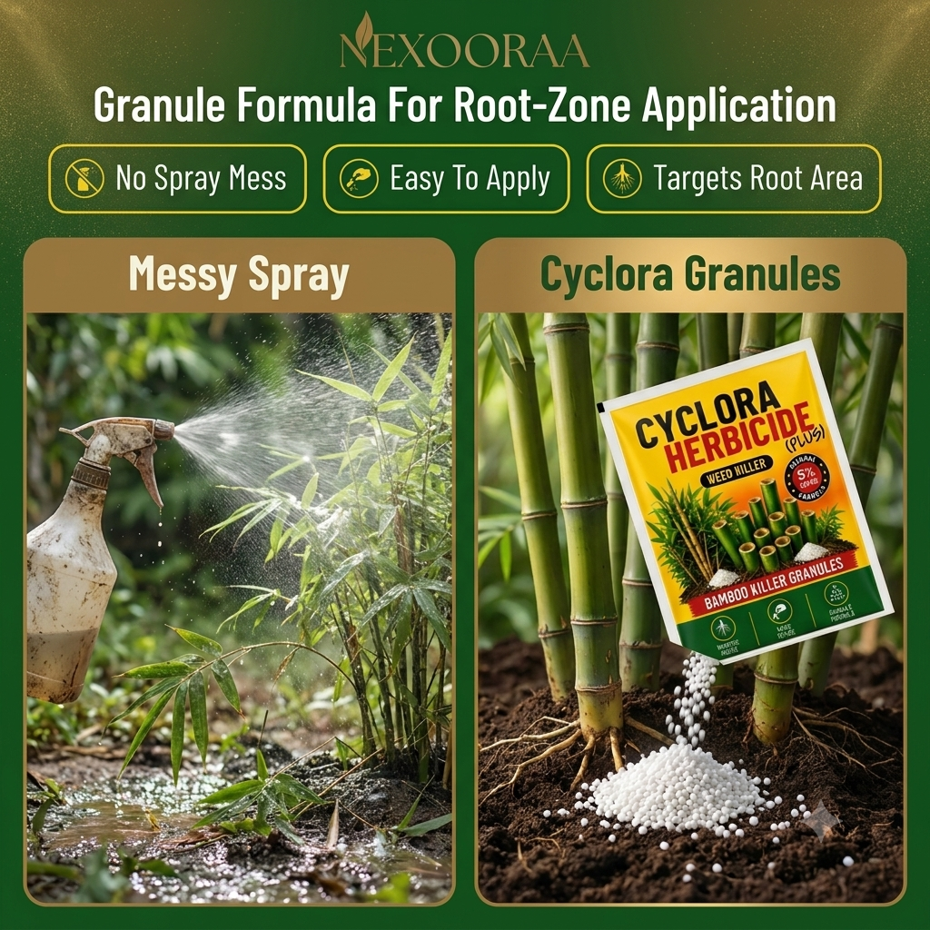Cyclora Herbicide Granules | 🔥BUY 1 GET 2 FREE🔥