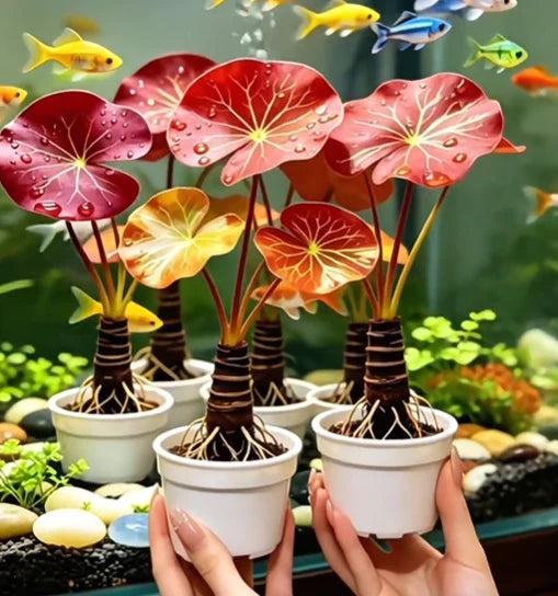 🐟 RED AQUARIUM LOTUS ROOTS BULBS🌿 TURN YOUR AQUARIUM INTO A LIVING GARDEN🌿✨ Buy 4 Get 4 Free Bulbs ✨