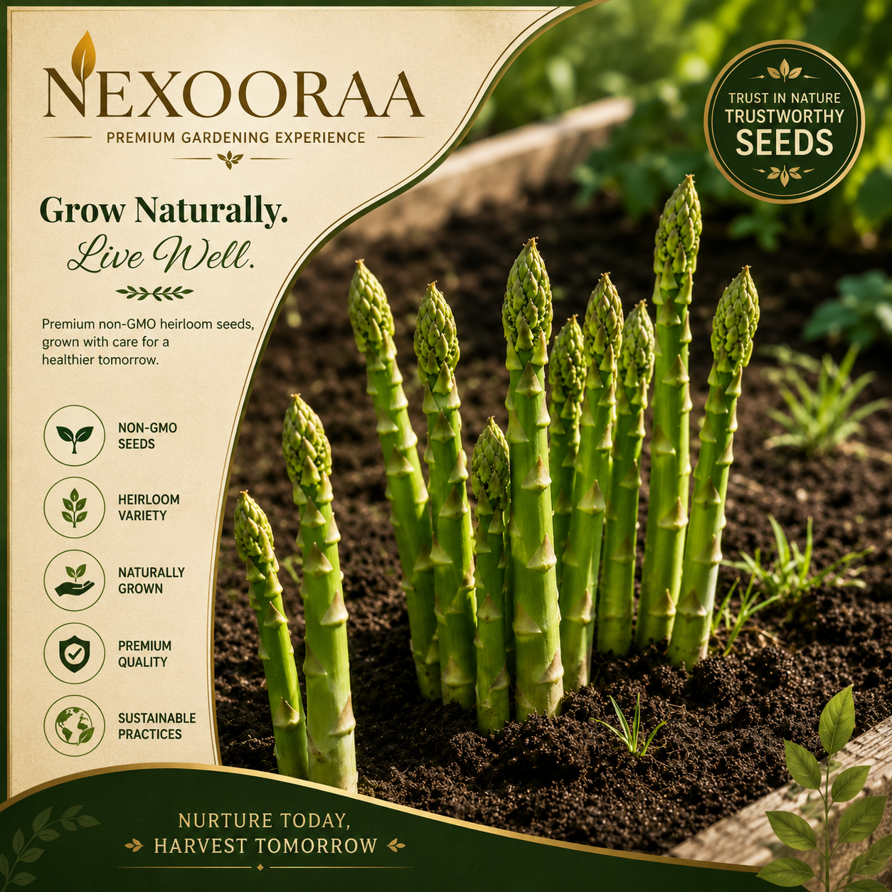 🌱 Grow Your Own Asparagus from Seeds — Fresh, Flavorful & Long-Lasting 👑 | 🔥Buy 1 Get 1 Free🔥