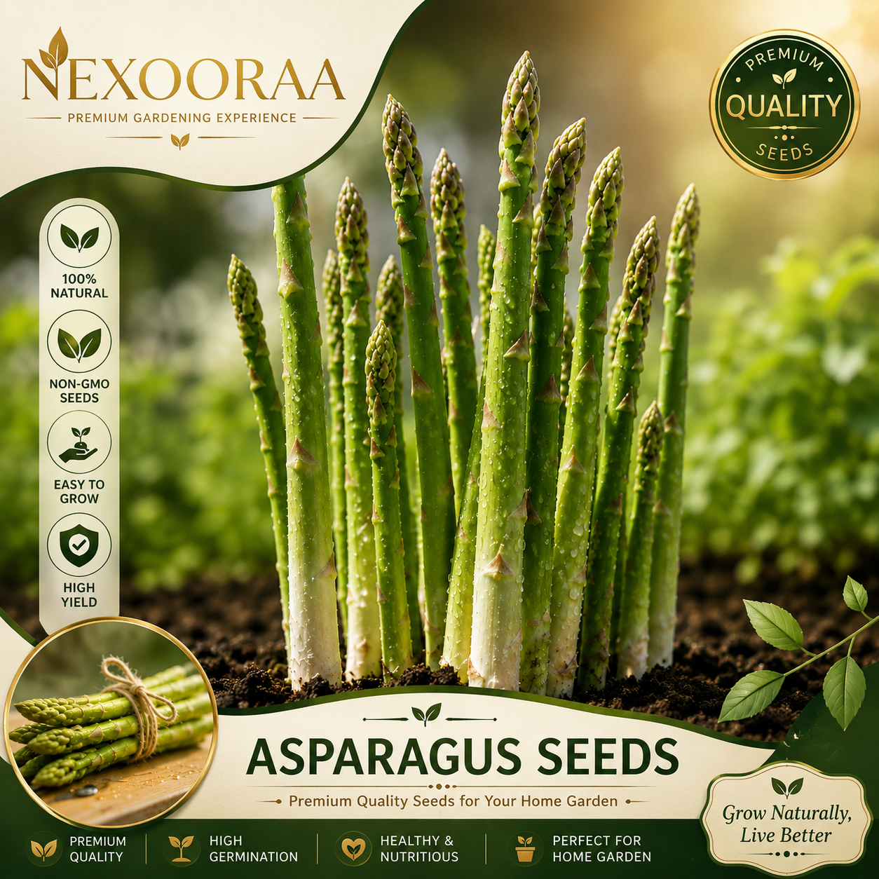🌱 Grow Your Own Asparagus from Seeds — Fresh, Flavorful & Long-Lasting 👑 | 🔥Buy 1 Get 1 Free🔥