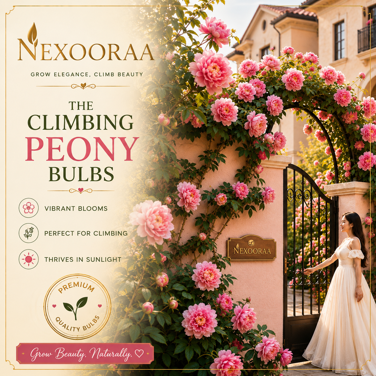 🌸 Rare Climbing Peony Bulbs🪴Big Full Blooms, Cold Hardy Perennial, Easy to Grow Garden Favorite🔥Buy 6 Get 6 Free Bulbs🔥