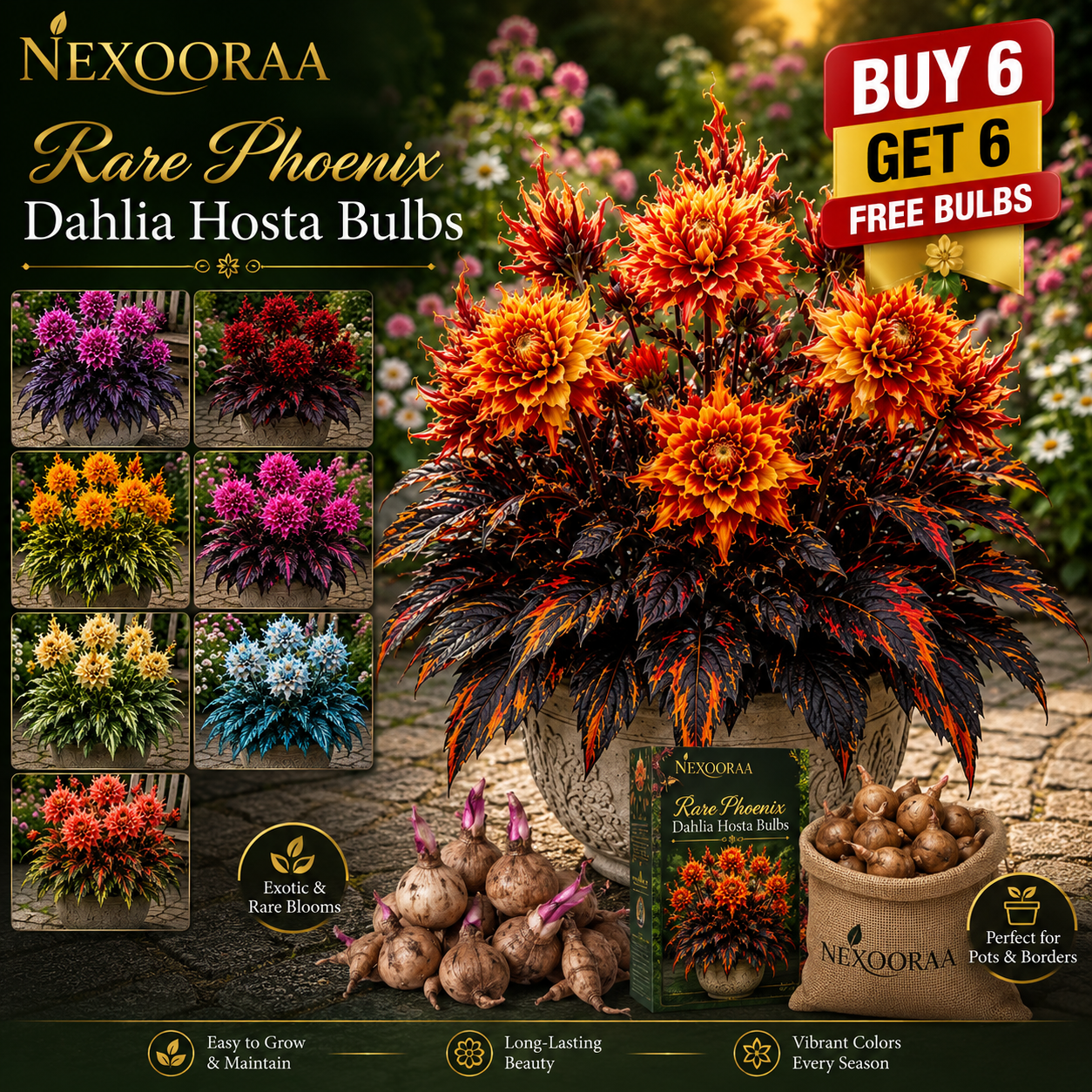 🌺 Rare Phoenix Dahlia Hosta Bulbs – A Stunning Fusion of Flowers & Foliage 🌼Buy 6 Get 6 Free Bulbs🌼