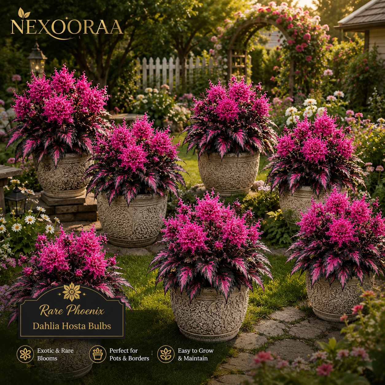 🌺 Rare Phoenix Dahlia Hosta Bulbs – A Stunning Fusion of Flowers & Foliage 🌼Buy 6 Get 6 Free Bulbs🌼