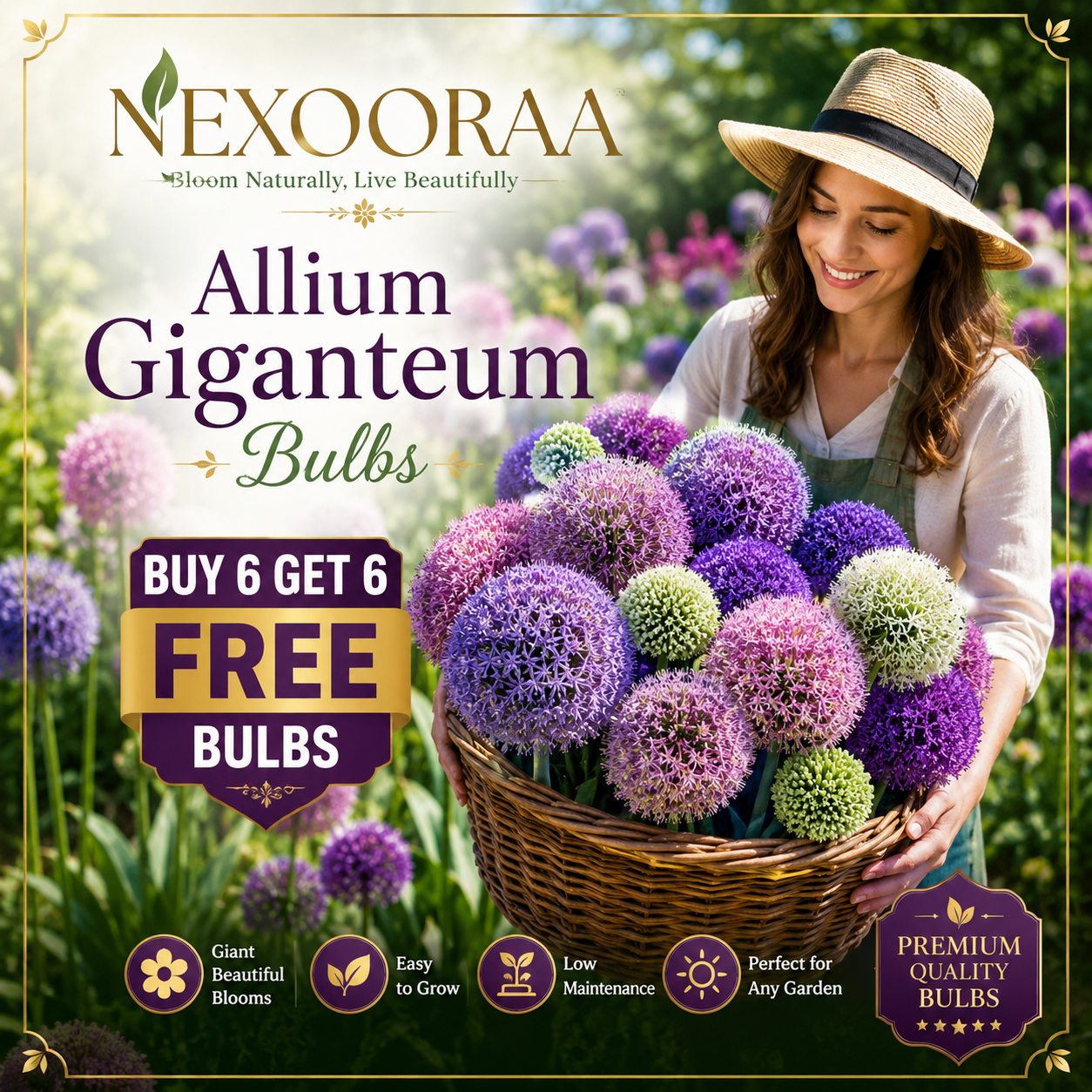 🌸 Giant Allium Bulbs 🌸 Giganteum Ornamental Onion Flower Bulbs 🌸 Buy 6 Get 6 Free Bulbs 🌸