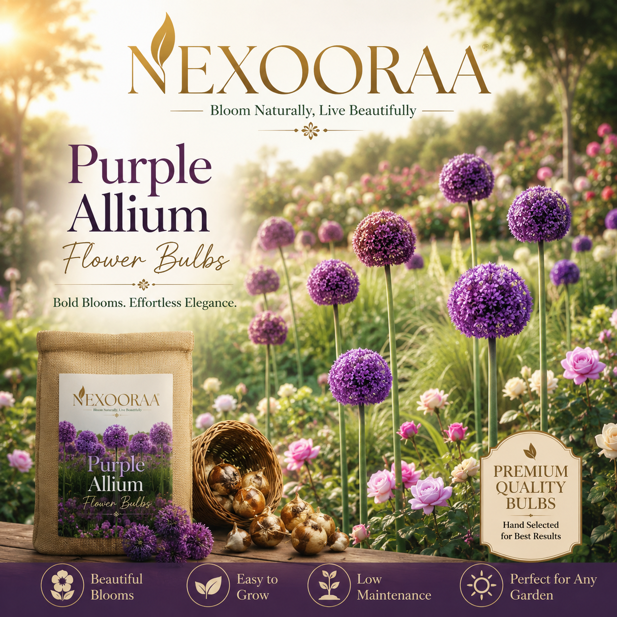 🌸 Giant Allium Bulbs 🌸 Giganteum Ornamental Onion Flower Bulbs 🌸 Buy 6 Get 6 Free Bulbs 🌸