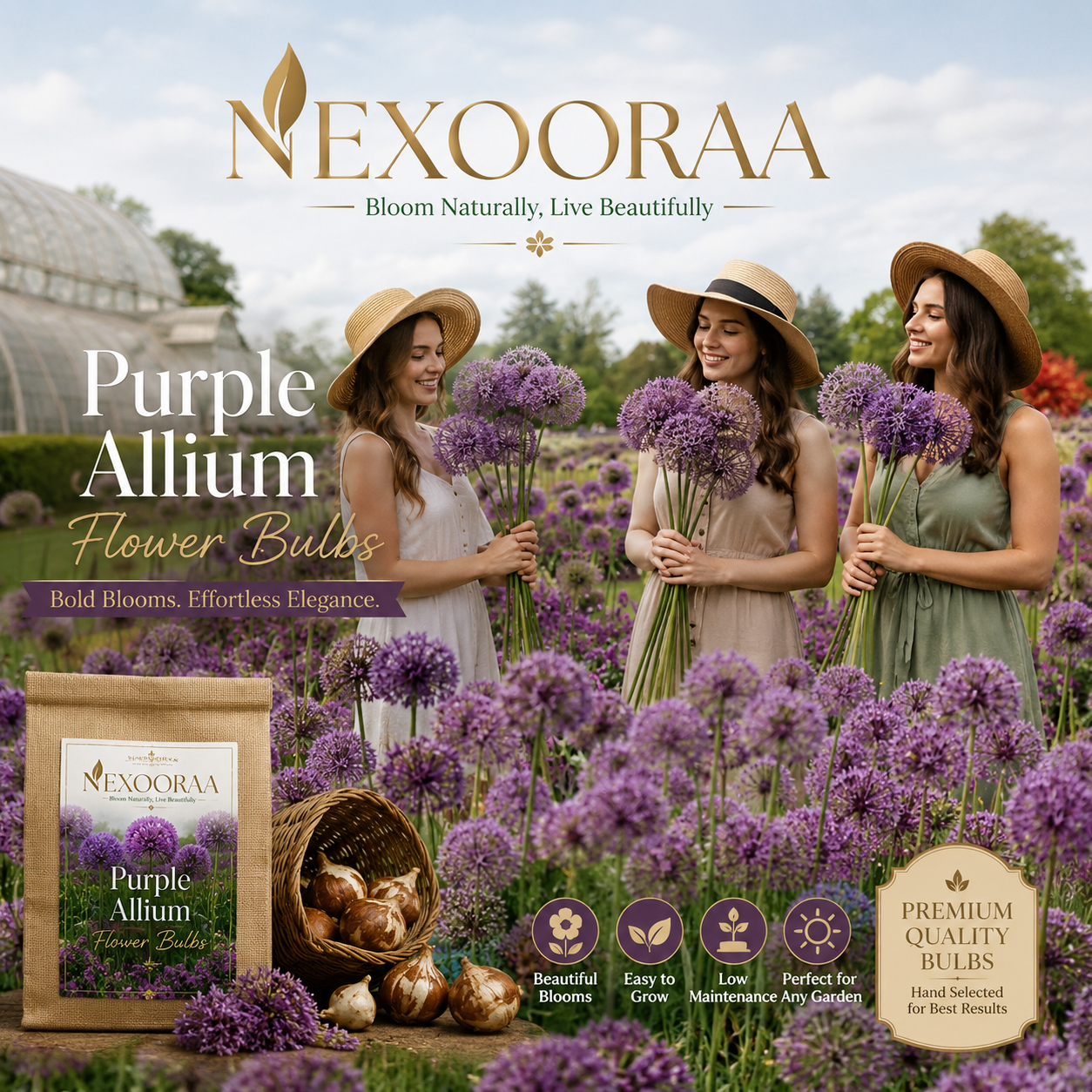 🌸 Giant Allium Bulbs 🌸 Giganteum Ornamental Onion Flower Bulbs 🌸 Buy 6 Get 6 Free Bulbs 🌸