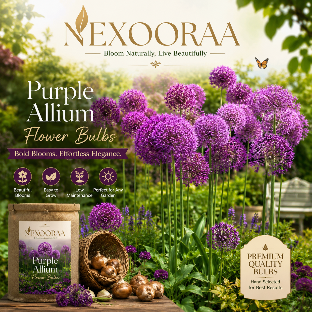 🌸 Giant Allium Bulbs 🌸 Giganteum Ornamental Onion Flower Bulbs 🌸 Buy 6 Get 6 Free Bulbs 🌸