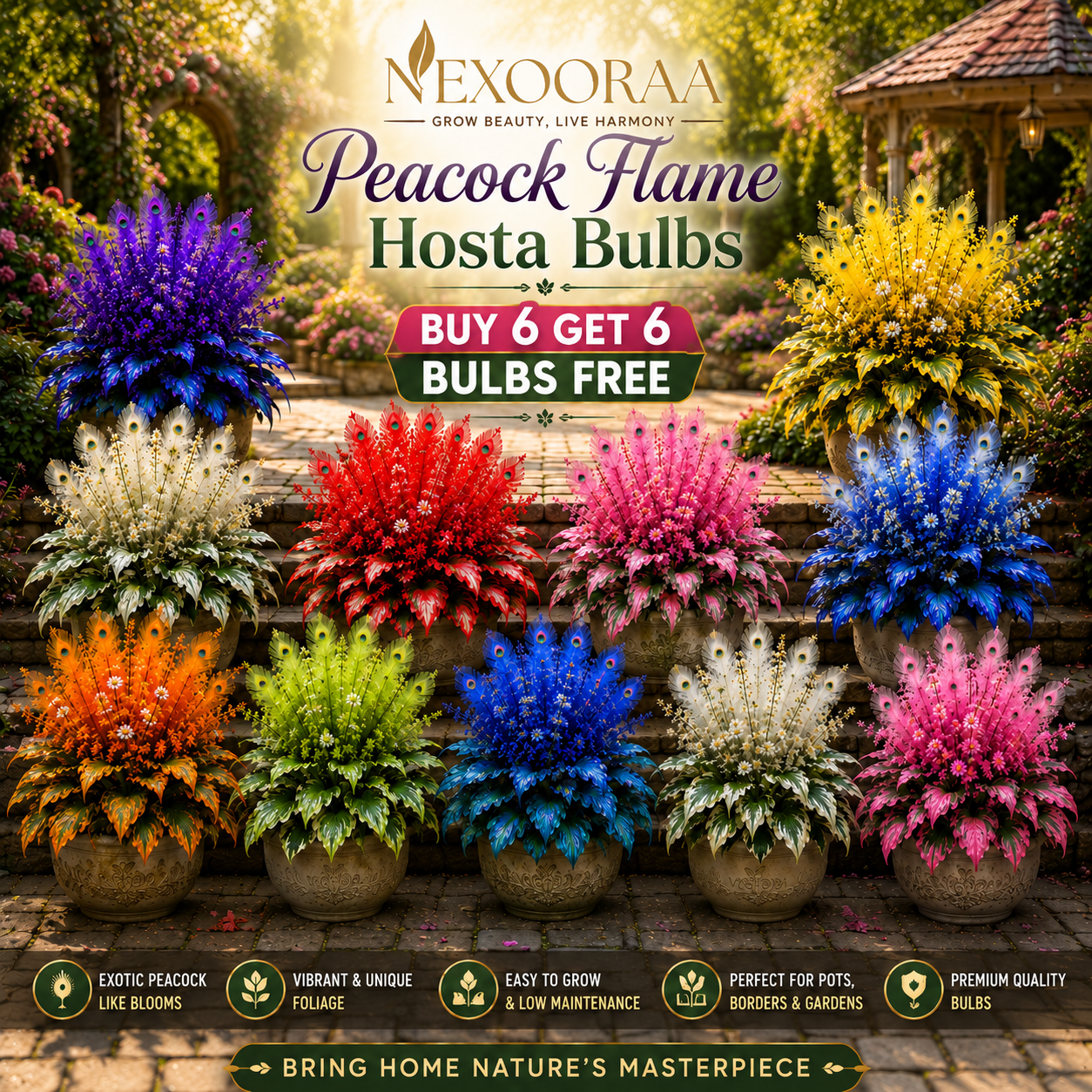 🏠🤗 Peacock Flame Hosta Bulbs💥 Stunning Colors That Brighten Any Space🔥Buy 6 Get 6 Free Bulbs🔥