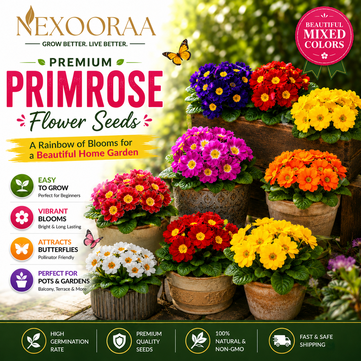 🌼Buy 1 Get 1 Free🌼 Premium Primrose Flower Seeds – Mixed Colors | FREE Gardening Gift Included 🎁