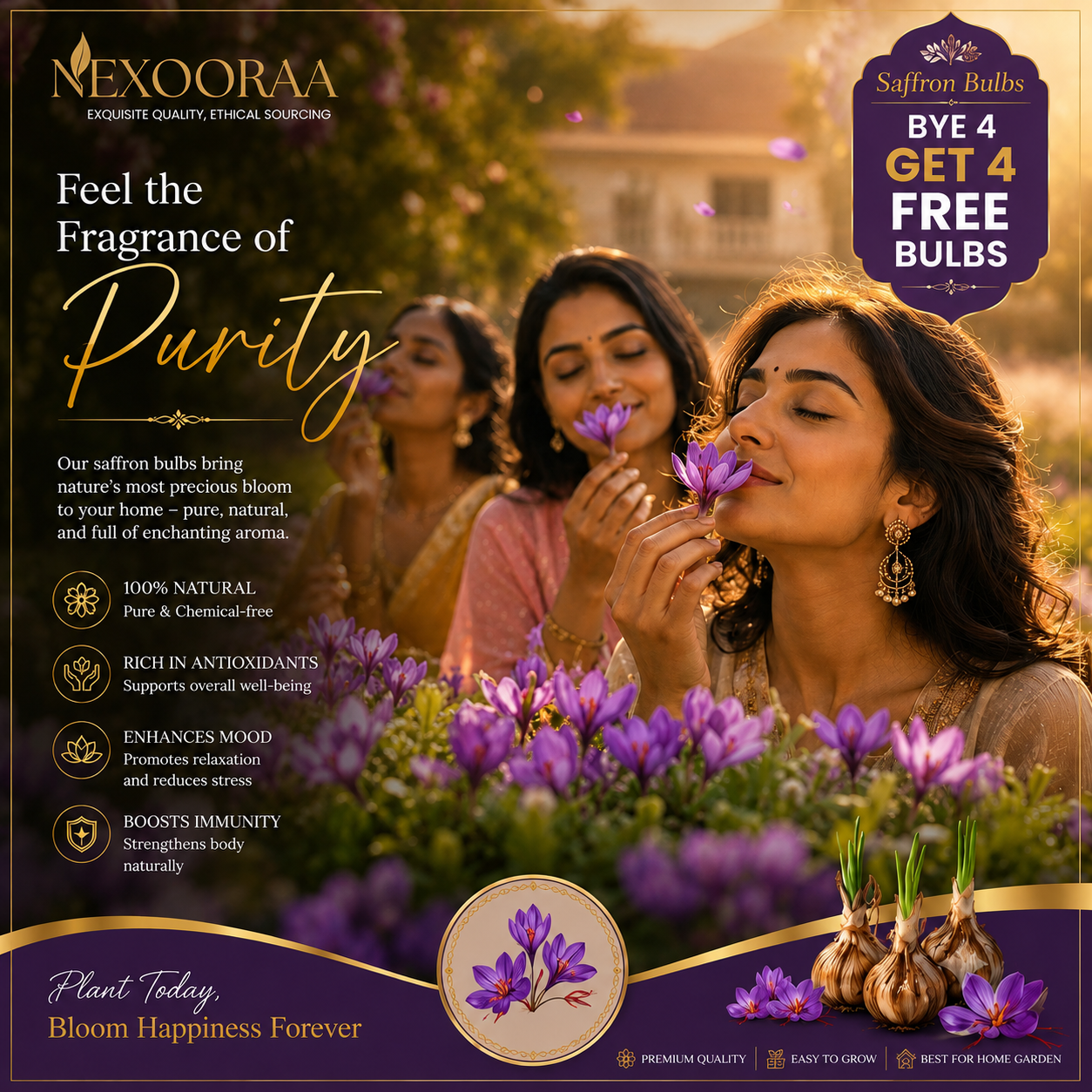 🌹Saffron Bulbs—Gold in the Flower Bulbs🌹🔥Buy 4 Get 4 Free Bulbs🔥